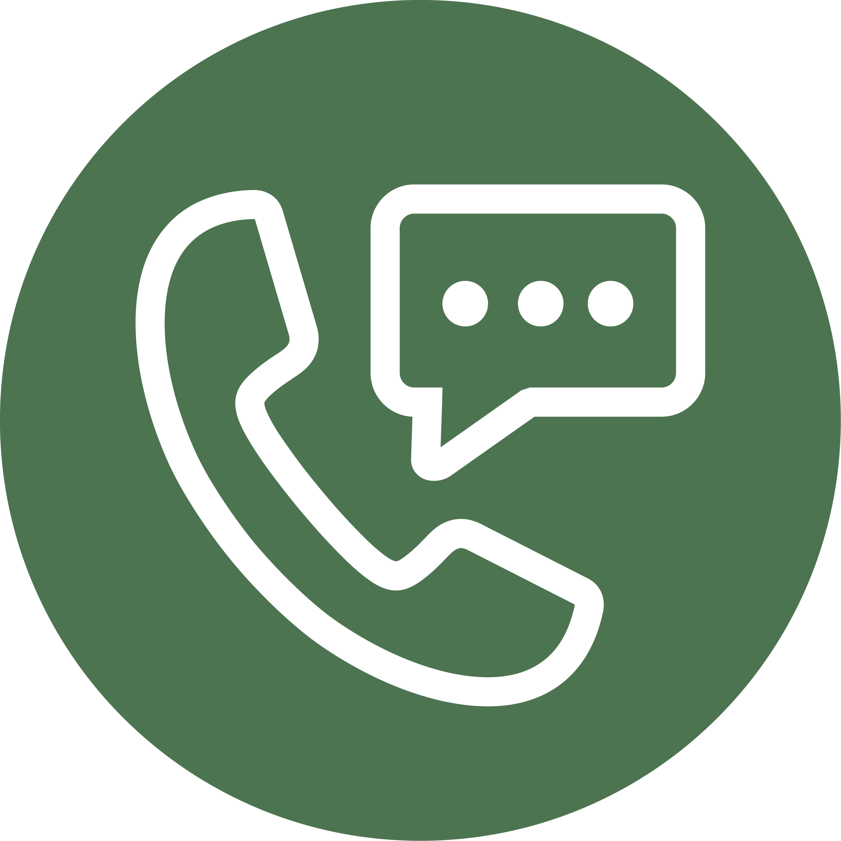Priority Icon